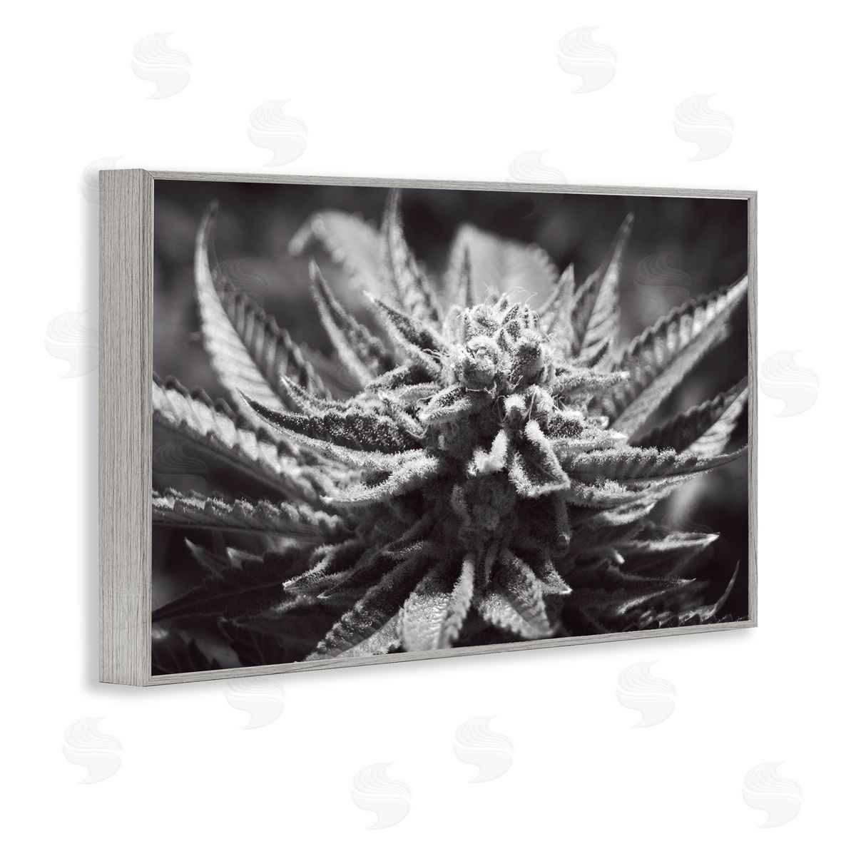 LIH Monochrome Cannabis Flower Gray Framed Giclee Wall Art Print