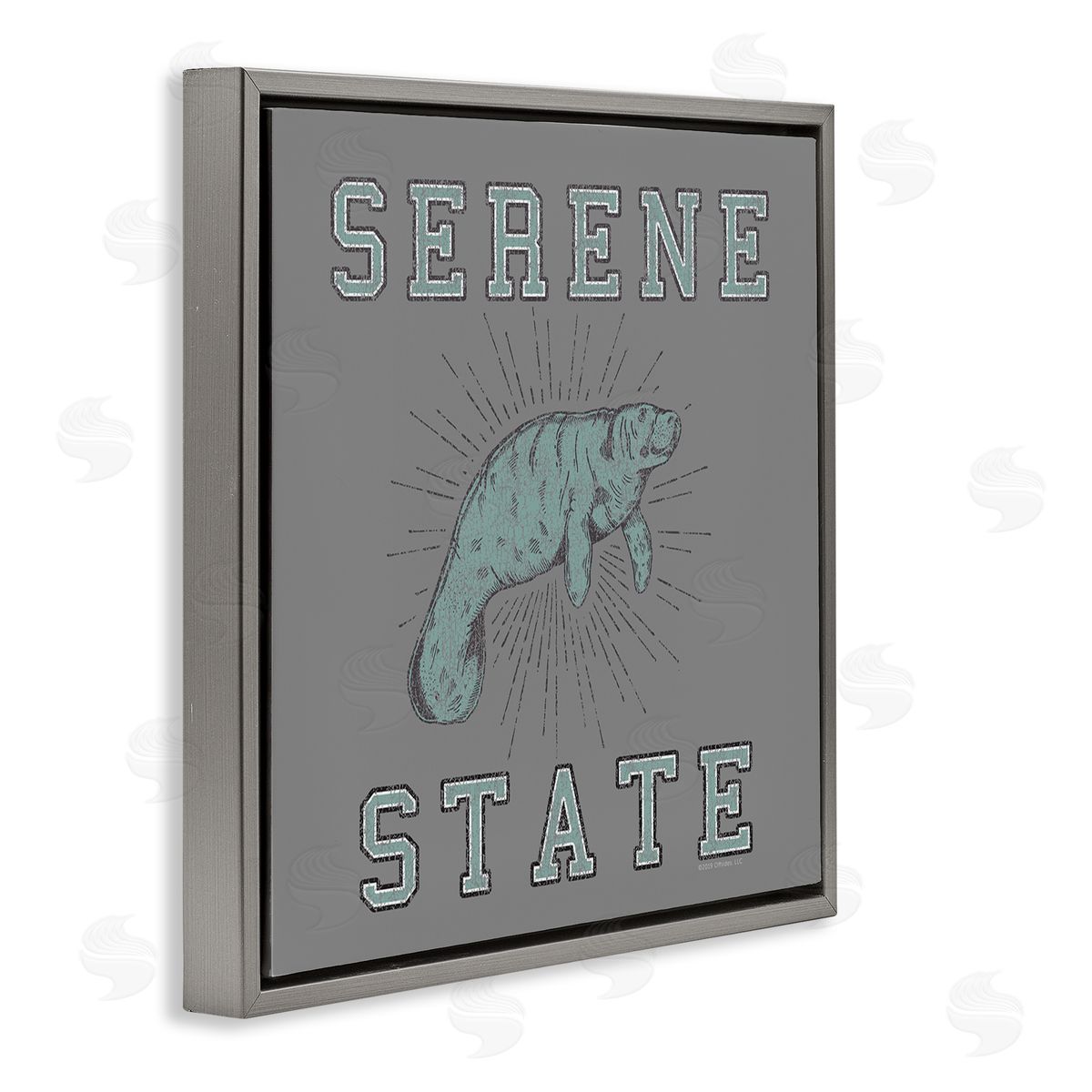 Spirit Animals/Life Is High Serene State Manatee Gray Floating Frame Canvas Wall Art Print