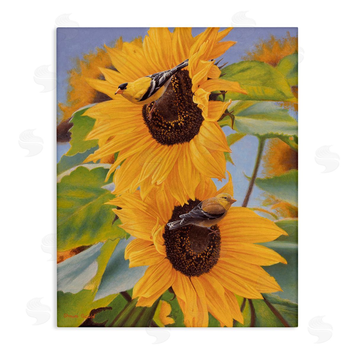 Shawn Gould Yellow Bird & Sunflowers Canvas Wall Art Print