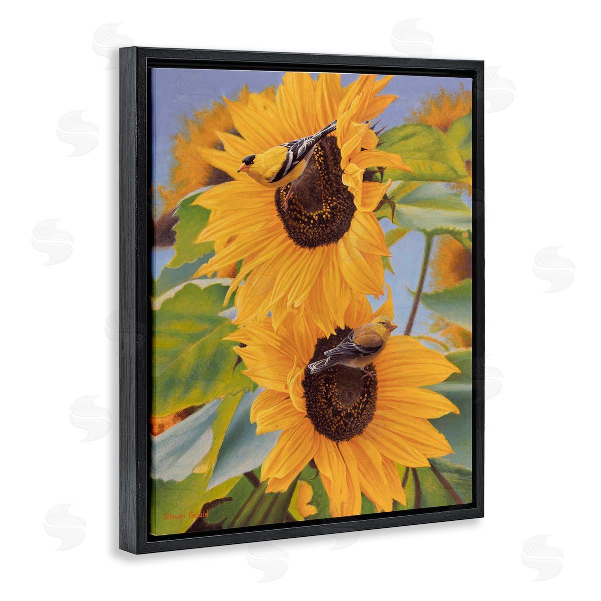 Shawn Gould Yellow Bird & Sunflowers Black Floating Frame Canvas Wall Art Print