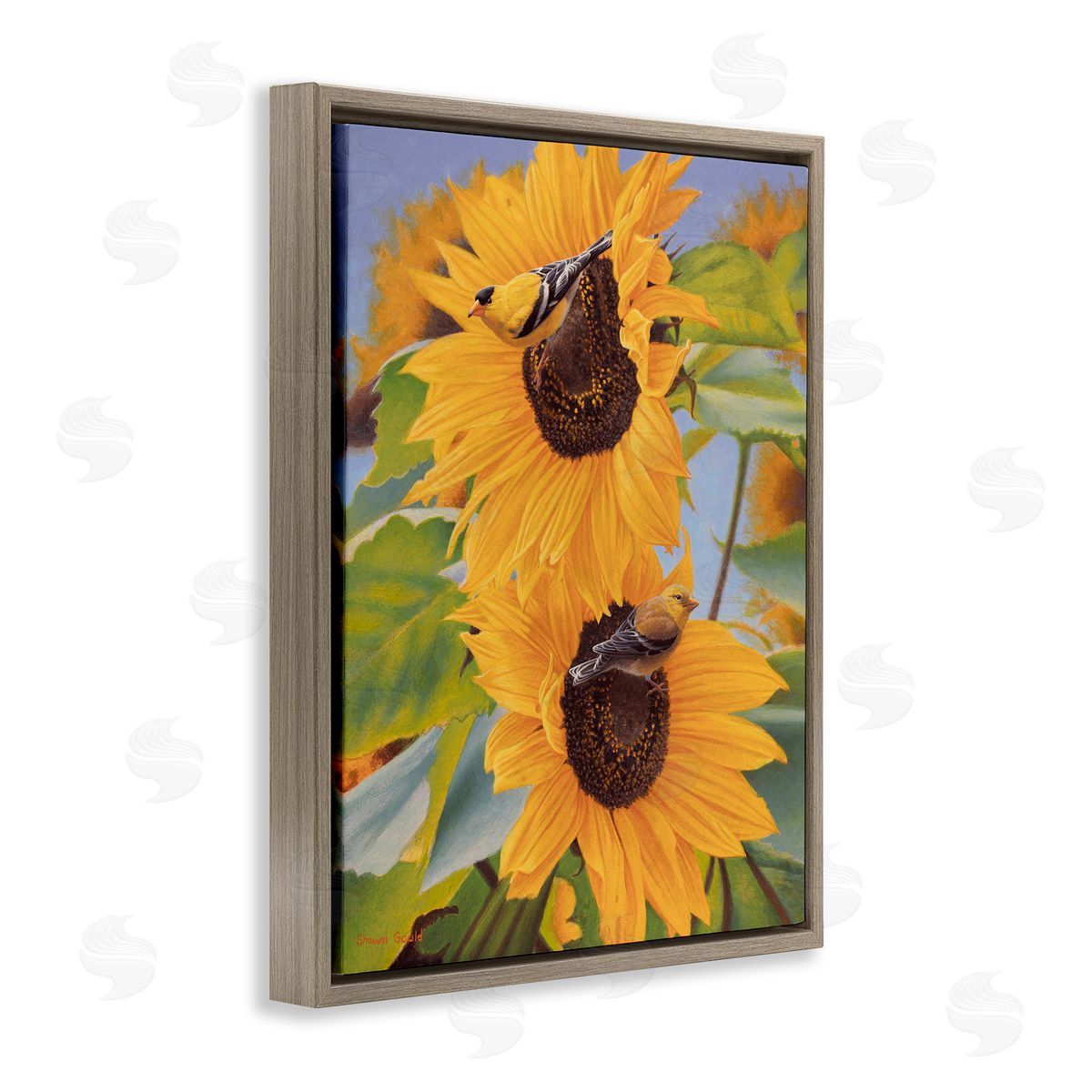 Shawn Gould Yellow Bird & Sunflowers Brown Floating Frame Canvas Wall Art Print