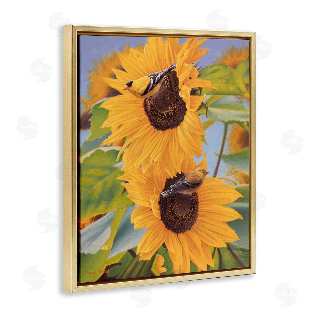 Shawn Gould Yellow Bird & Sunflowers Gold Floating Frame Canvas Wall Art Print