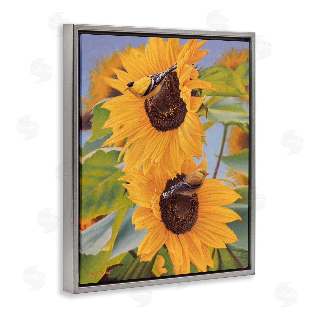 Shawn Gould Yellow Bird & Sunflowers Gray Floating Frame Canvas Wall Art Print
