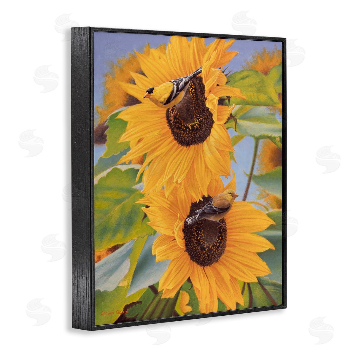 Shawn Gould Yellow Bird & Sunflowers Black Framed Giclee Wall Art Print