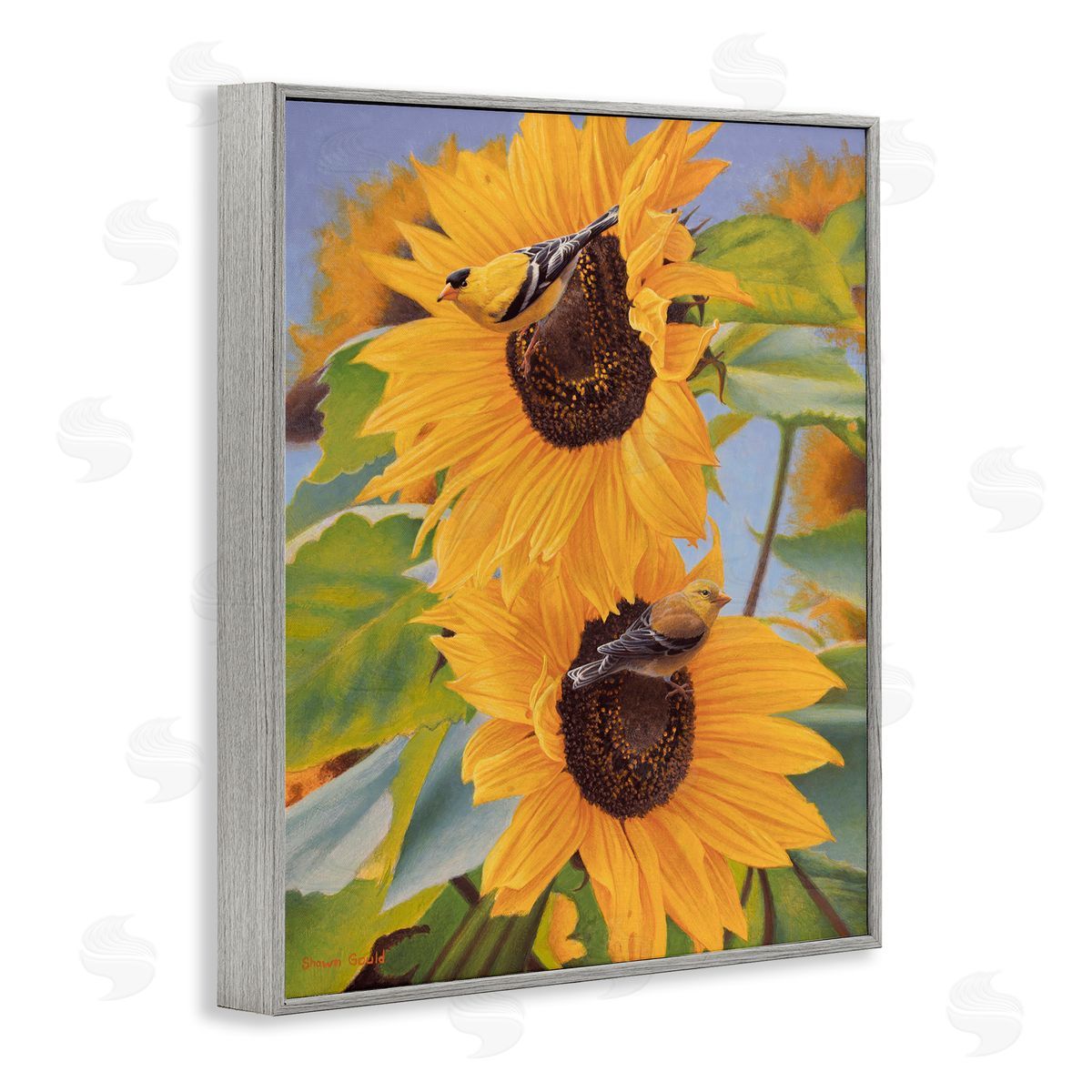 Shawn Gould Yellow Bird & Sunflowers Gray Framed Giclee Wall Art Print