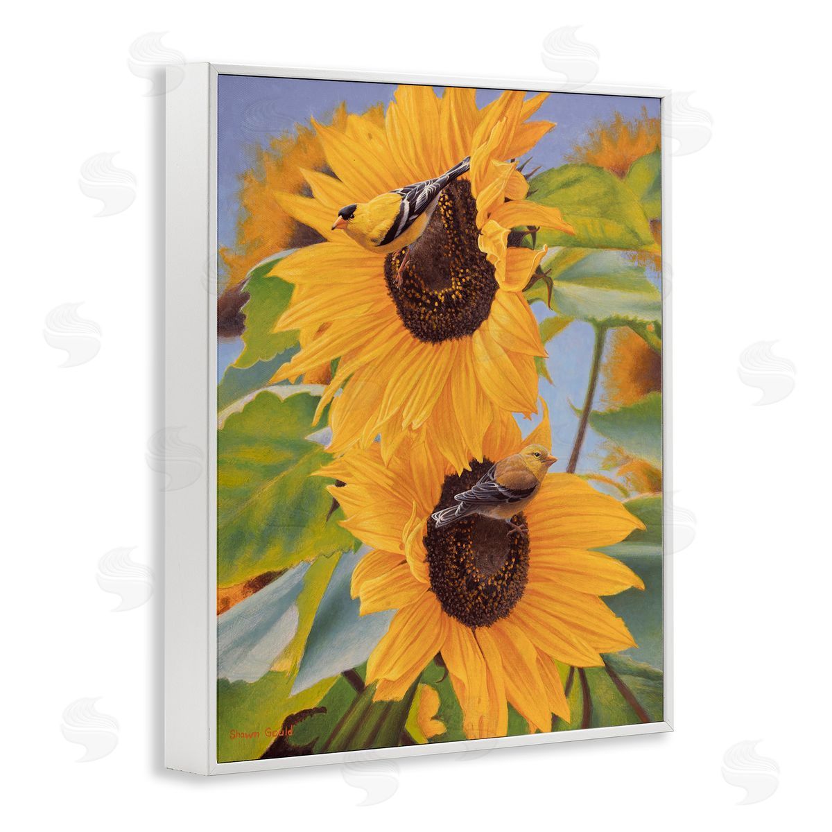 Shawn Gould Yellow Bird & Sunflowers White Framed Giclee Wall Art Print