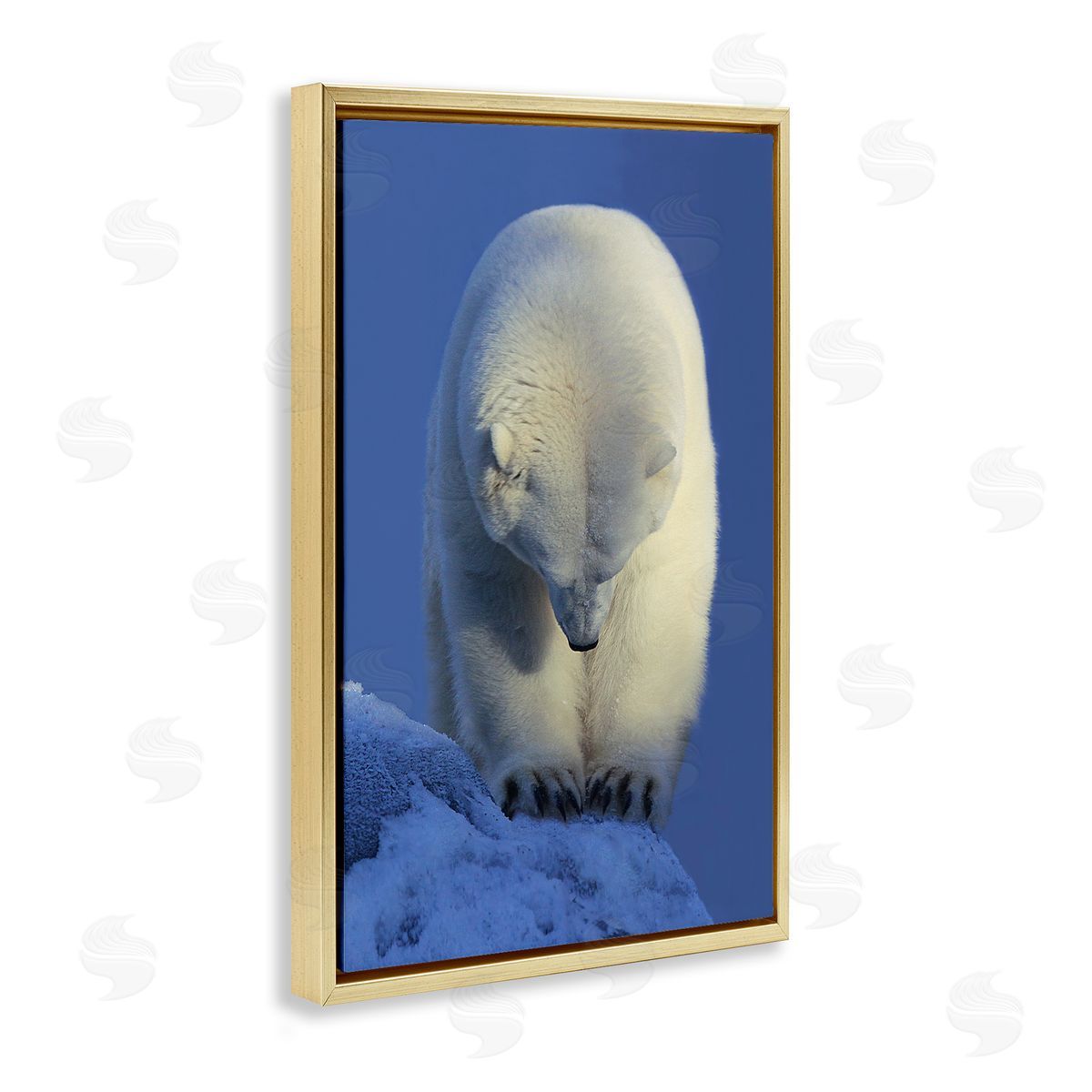 Shane Lamb Contemplation Polar Bear Gold Floating Frame Canvas Wall Art Print