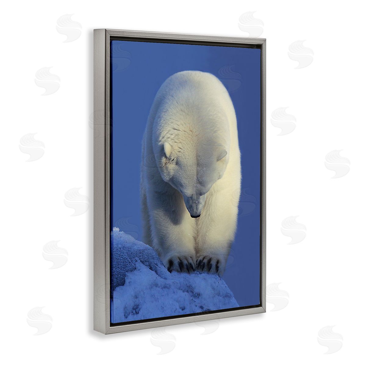 Shane Lamb Contemplation Polar Bear Gray Floating Frame Canvas Wall Art Print