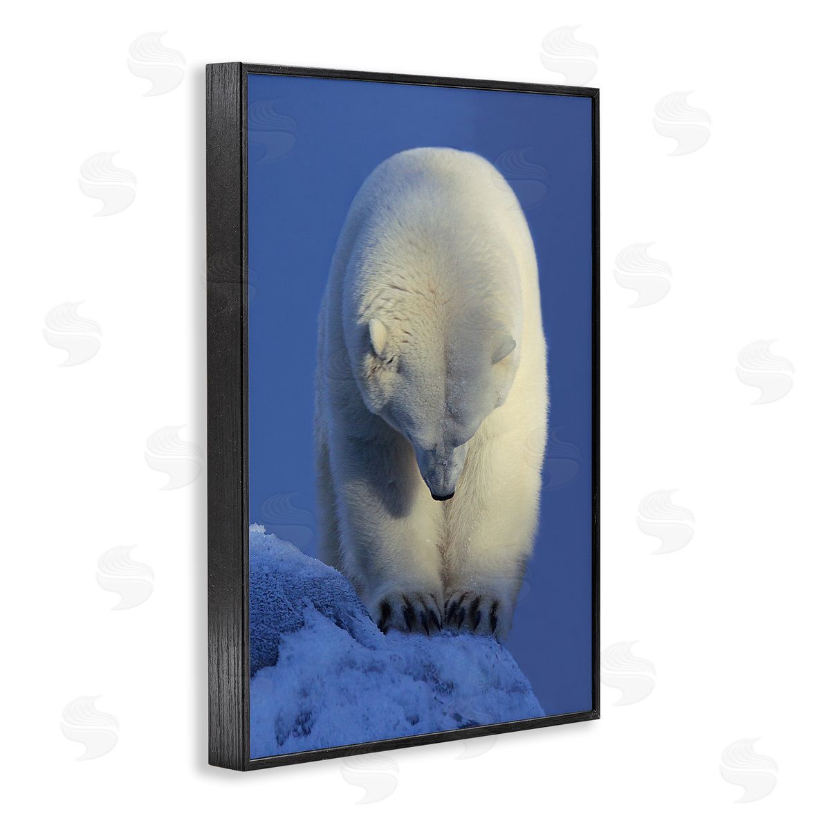 Shane Lamb Contemplation Polar Bear Black Framed Giclee Wall Art Print