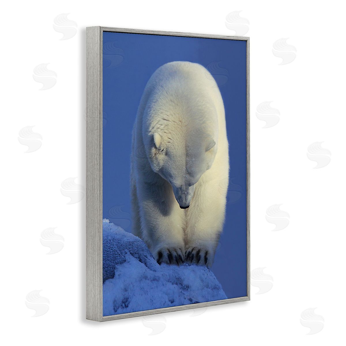 Shane Lamb Contemplation Polar Bear Gray Framed Giclee Wall Art Print