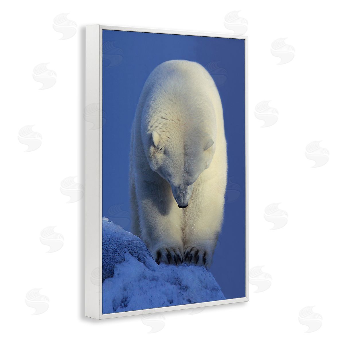 Shane Lamb Contemplation Polar Bear White Framed Giclee Wall Art Print