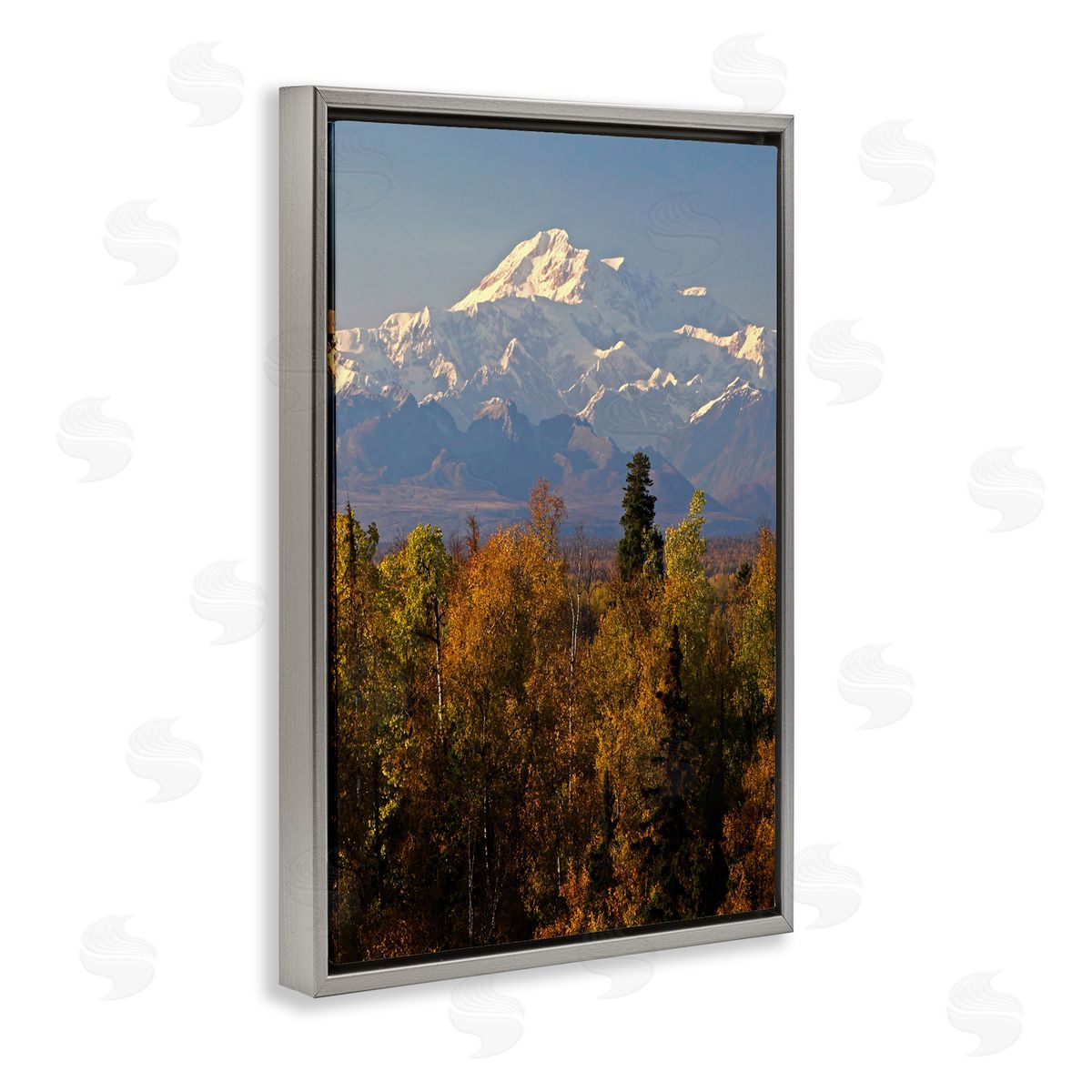 Shane Lamb Danali Autumn Landscape Gray Floating Frame Canvas Wall Art Print