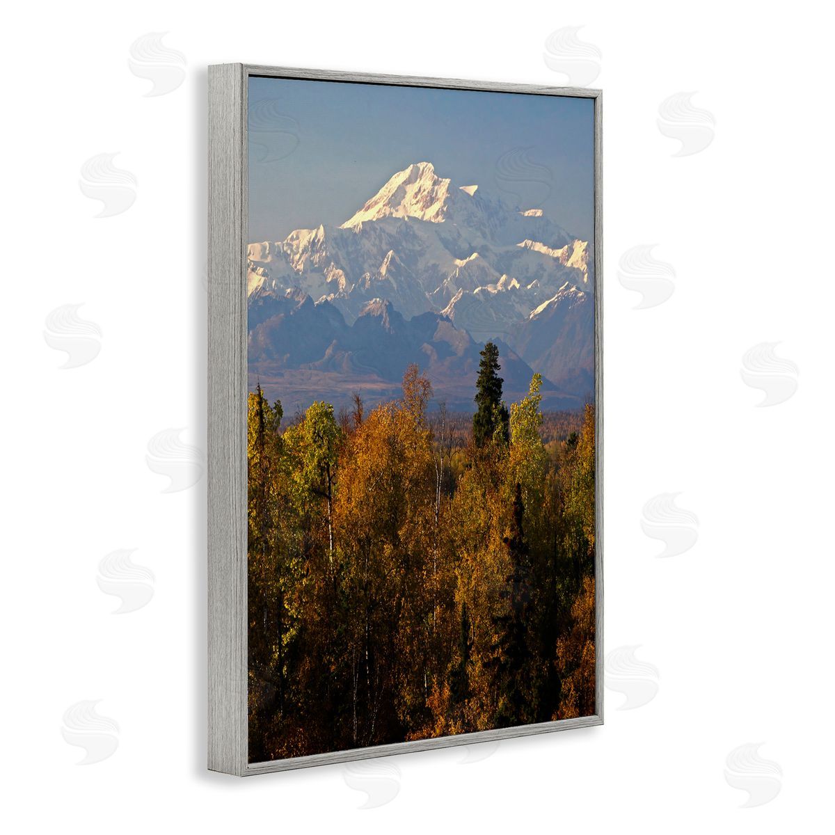 Shane Lamb Danali Autumn Landscape Gray Framed Giclee Wall Art Print