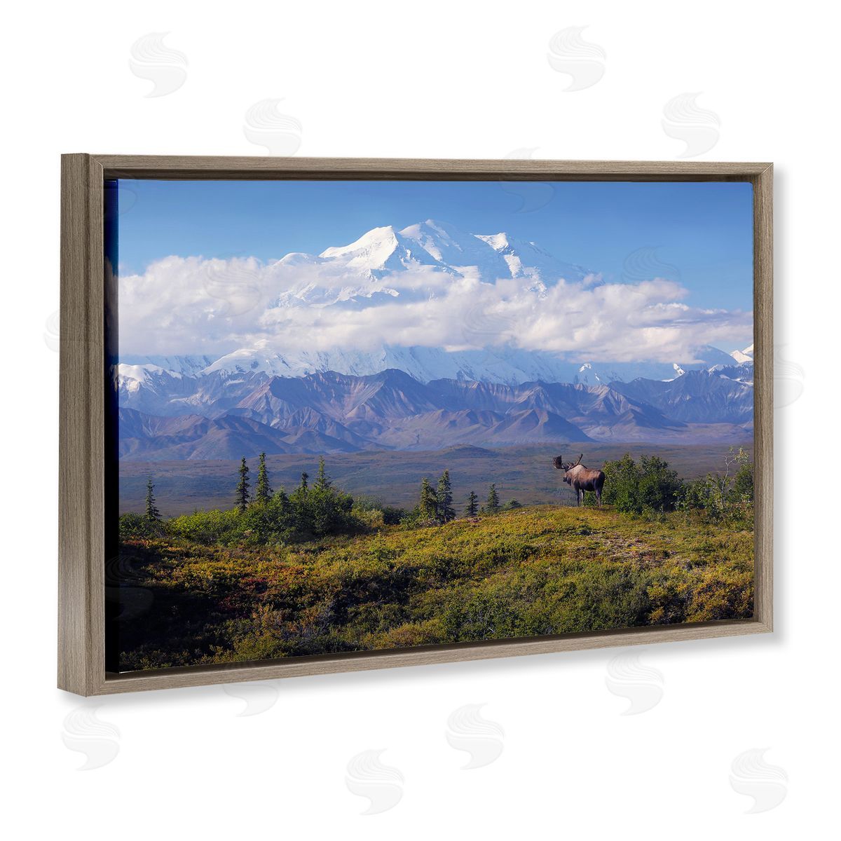 Shane Lamb Mountain Majesty Moose Brown Floating Frame Canvas Wall Art Print
