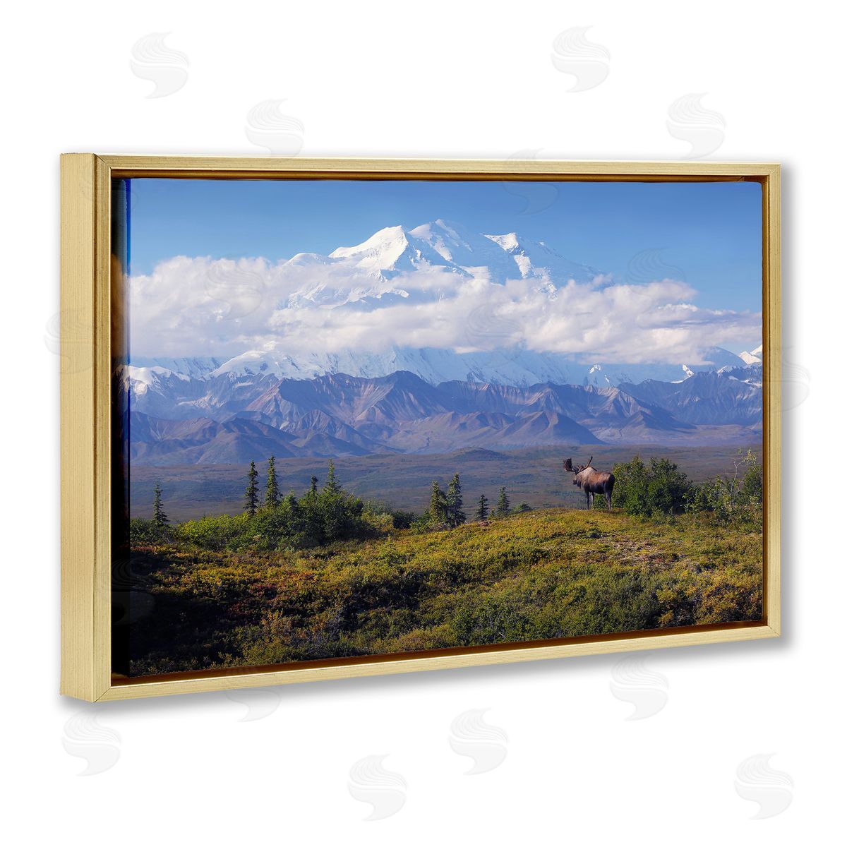 Shane Lamb Mountain Majesty Moose Gold Floating Frame Canvas Wall Art Print