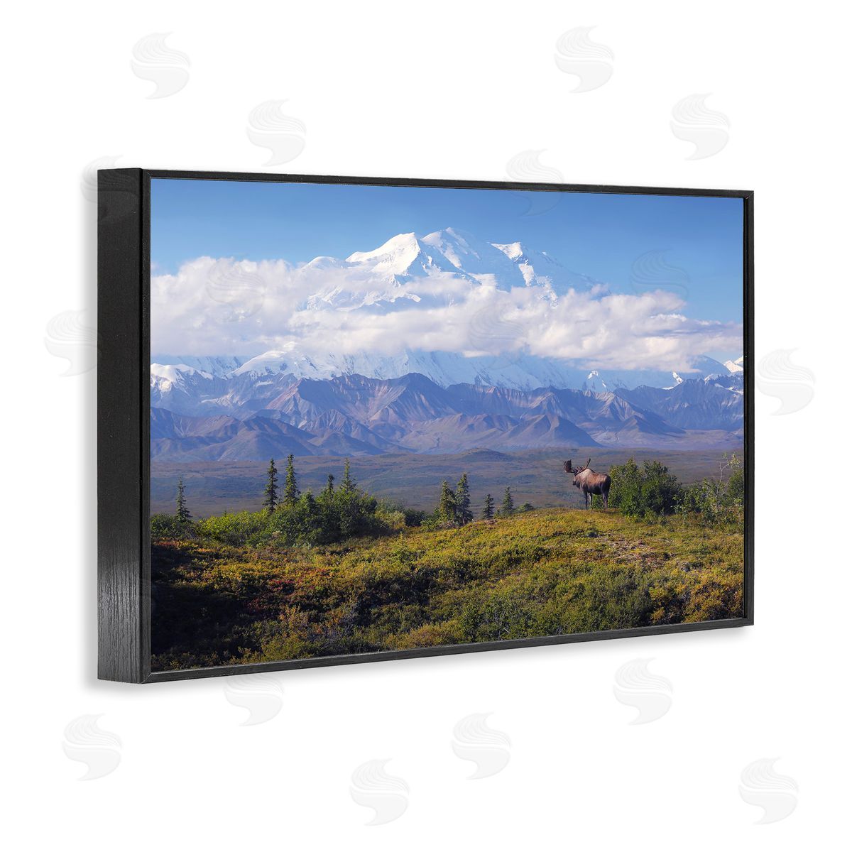 Shane Lamb Mountain Majesty Moose Black Framed Giclee Wall Art Print