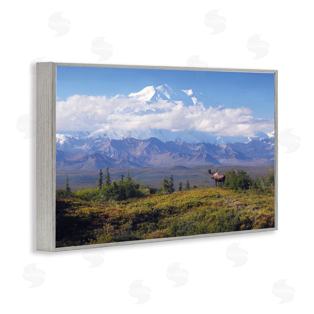 Shane Lamb Mountain Majesty Moose Gray Framed Giclee Wall Art Print