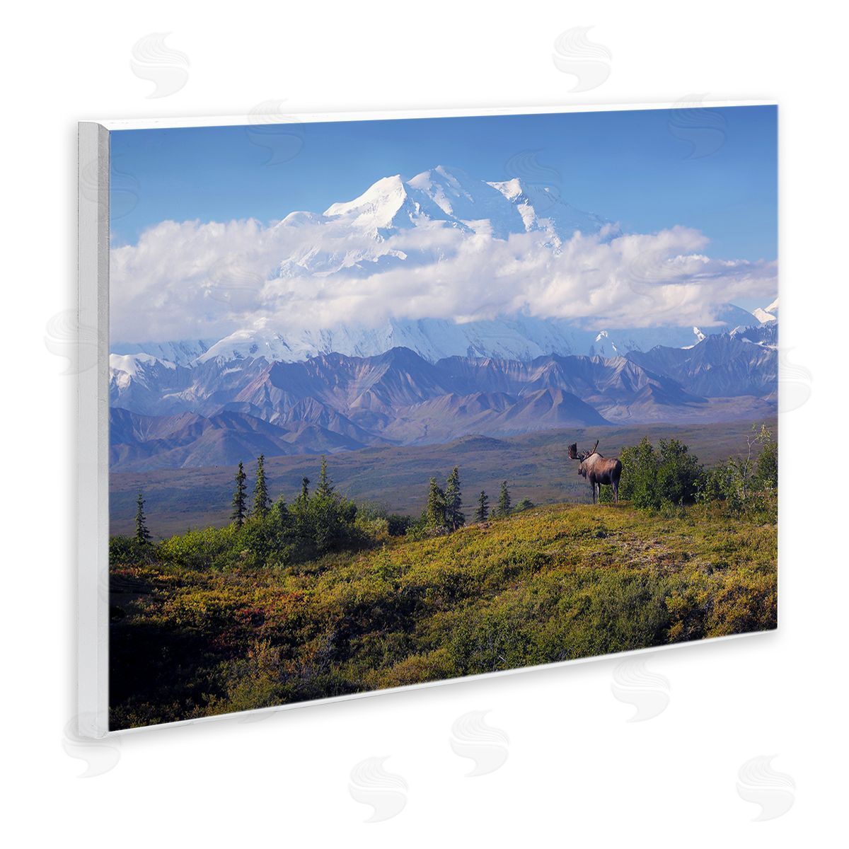 Shane Lamb Mountain Majesty Moose Wooden Wall Plaque Art Print