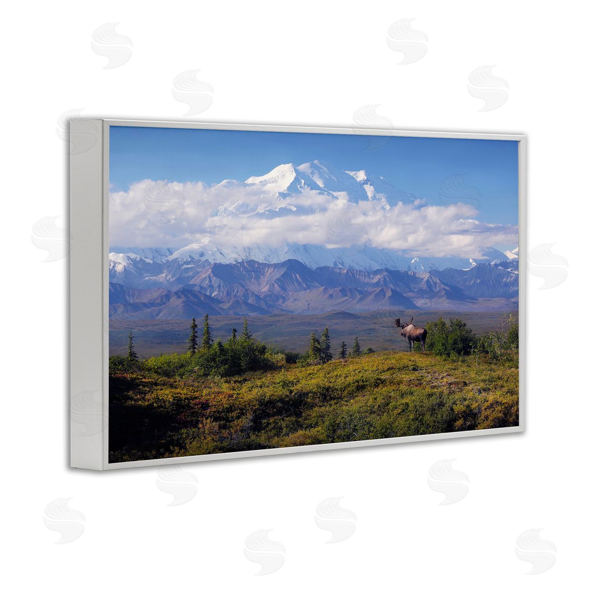 Shane Lamb Mountain Majesty Moose White Framed Giclee Wall Art Print