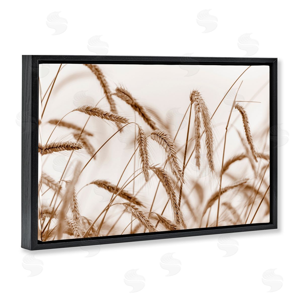 Nancy Crowell Windswept Wheat Sprigs Black Floating Frame Canvas Wall Art Print