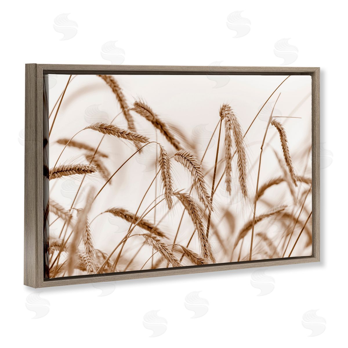 Nancy Crowell Windswept Wheat Sprigs Brown Floating Frame Canvas Wall Art Print