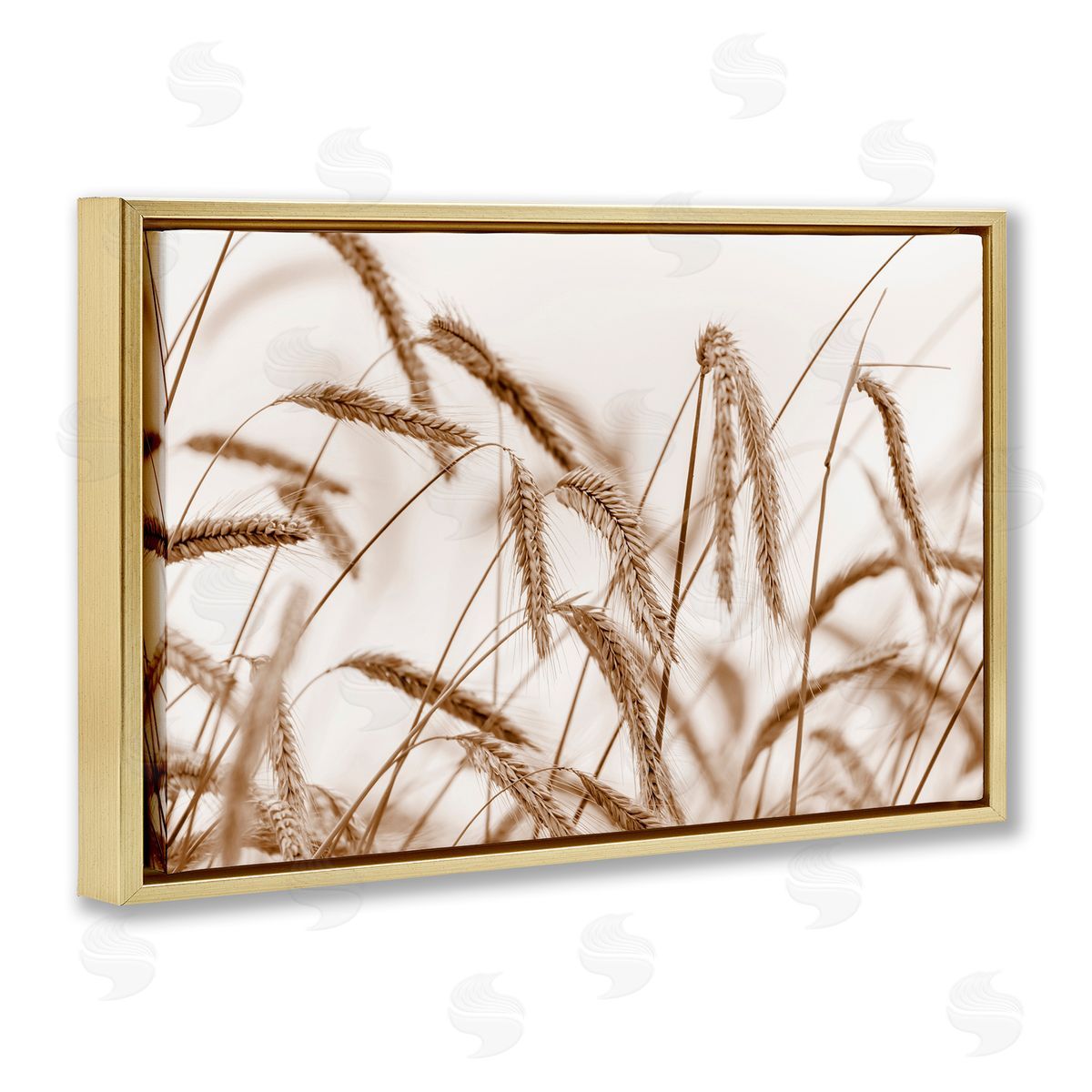 Nancy Crowell Windswept Wheat Sprigs Gold Floating Frame Canvas Wall Art Print