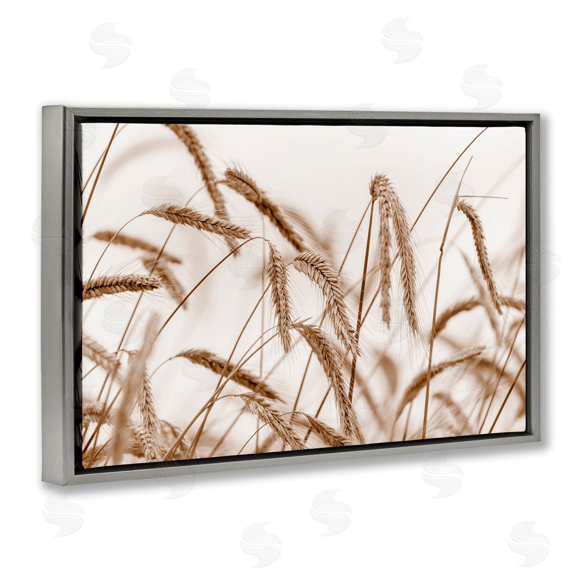 Nancy Crowell Windswept Wheat Sprigs Gray Floating Frame Canvas Wall Art Print