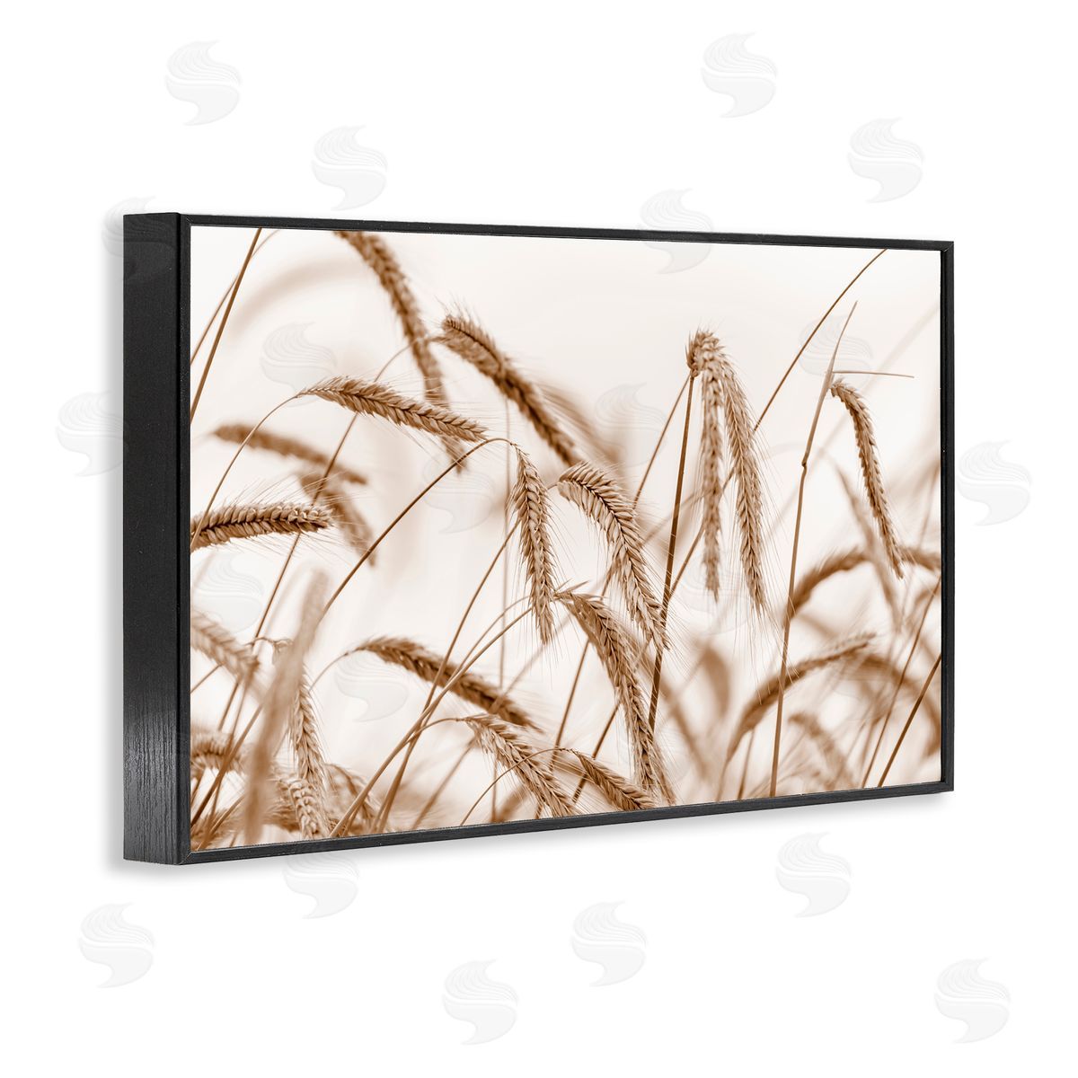 Nancy Crowell Windswept Wheat Sprigs Black Framed Giclee Wall Art Print