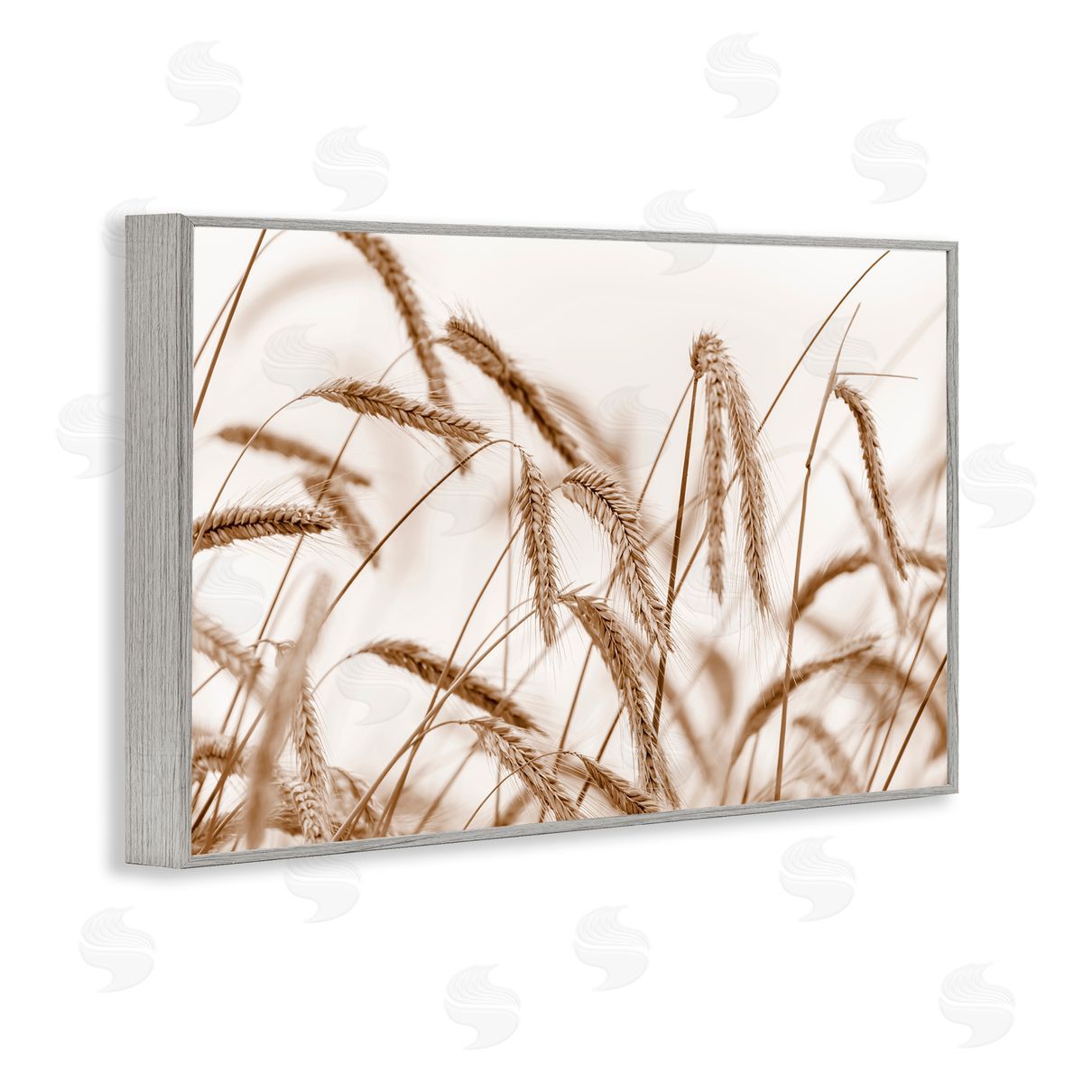 Nancy Crowell Windswept Wheat Sprigs Gray Framed Giclee Wall Art Print