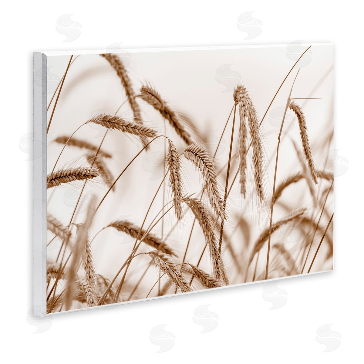 Nancy Crowell Windswept Wheat Sprigs Wooden Wall Plaque Art Print