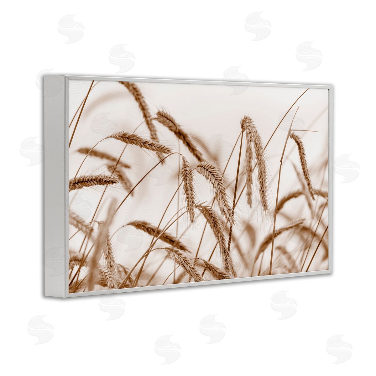 Nancy Crowell Windswept Wheat Sprigs White Framed Giclee Wall Art Print