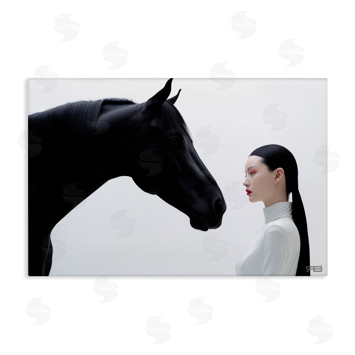 RB Sleek Black Horse & Girl Canvas Wall Art Print