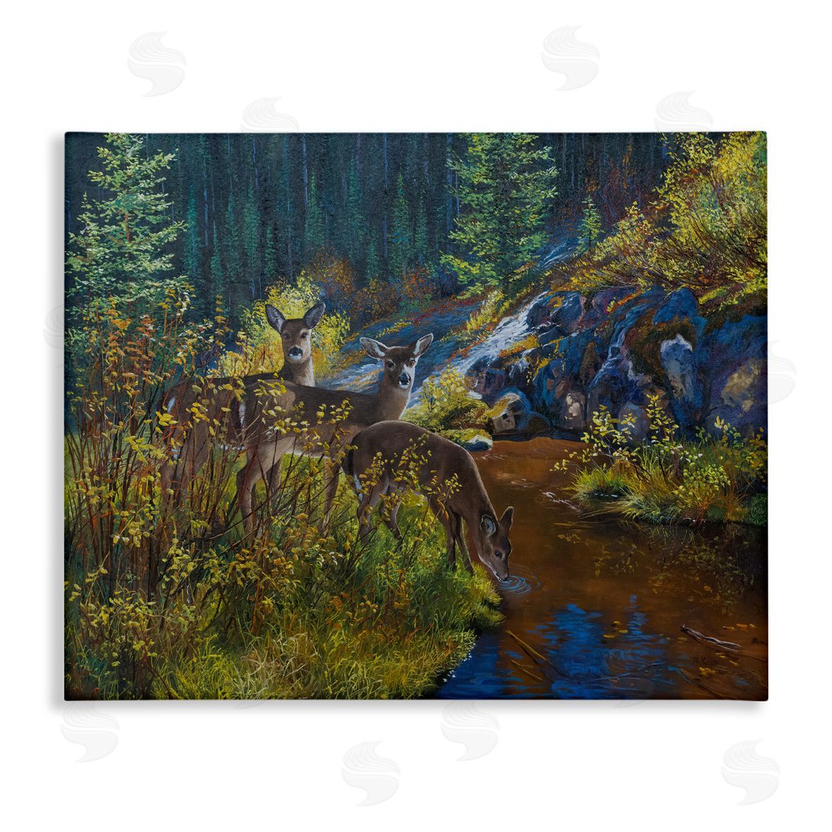 Andrew Kiss Deer Drinking from River Canvas Wall Art Print