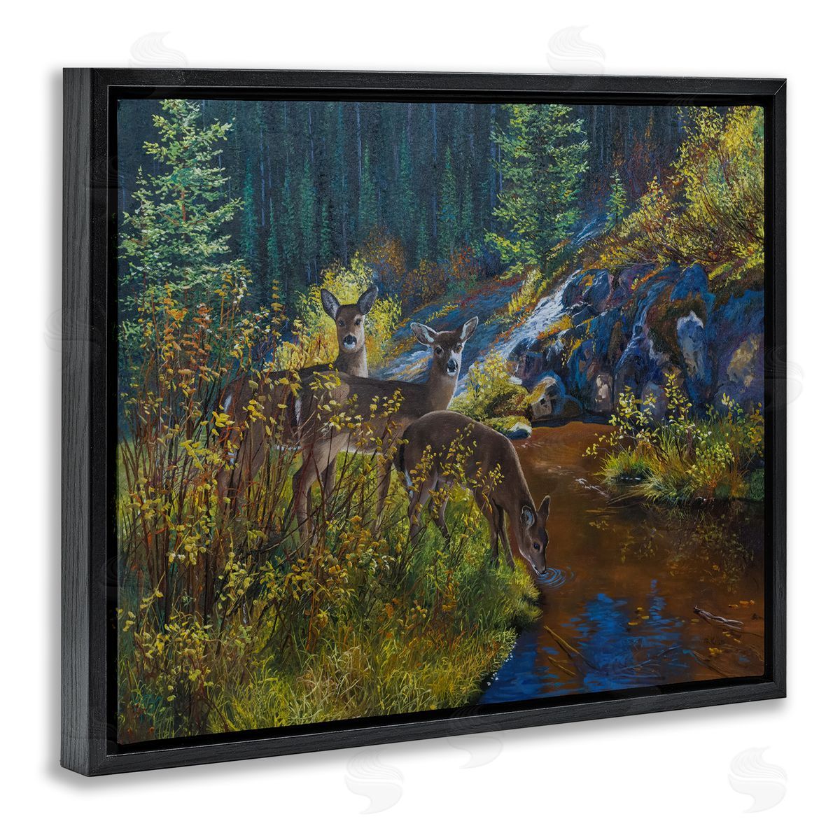 Andrew Kiss Deer Drinking from River Black Floating Frame Canvas Wall Art Print