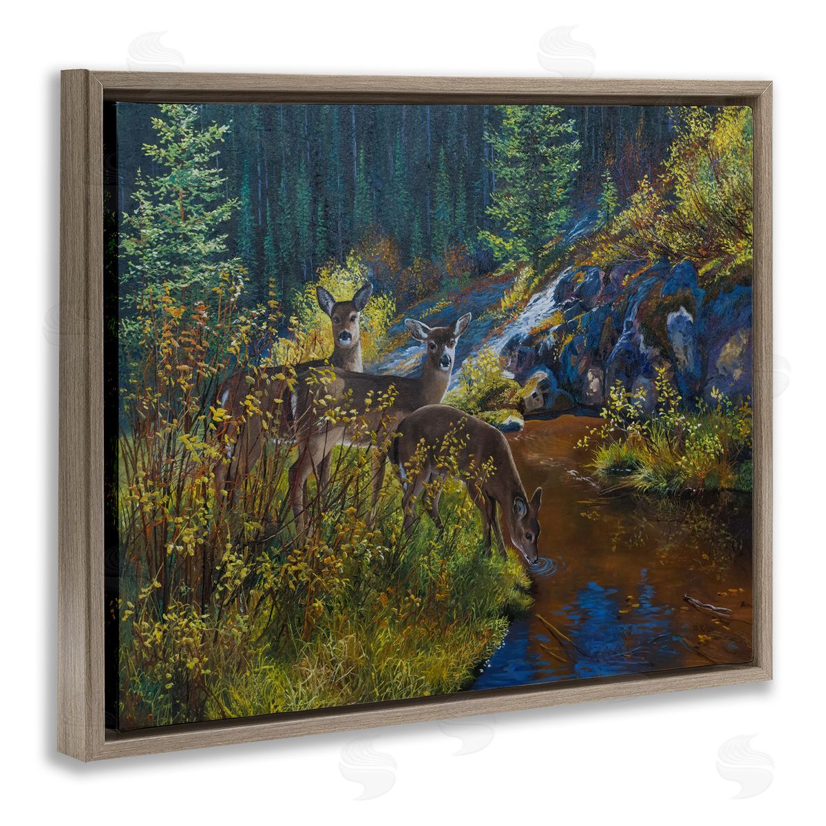 Andrew Kiss Deer Drinking from River Brown Floating Frame Canvas Wall Art Print
