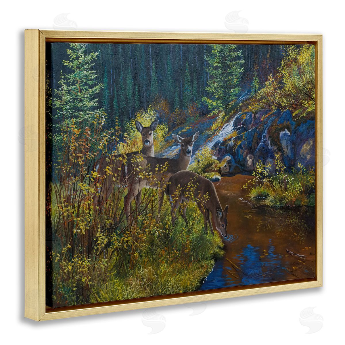 Andrew Kiss Deer Drinking from River Gold Floating Frame Canvas Wall Art Print