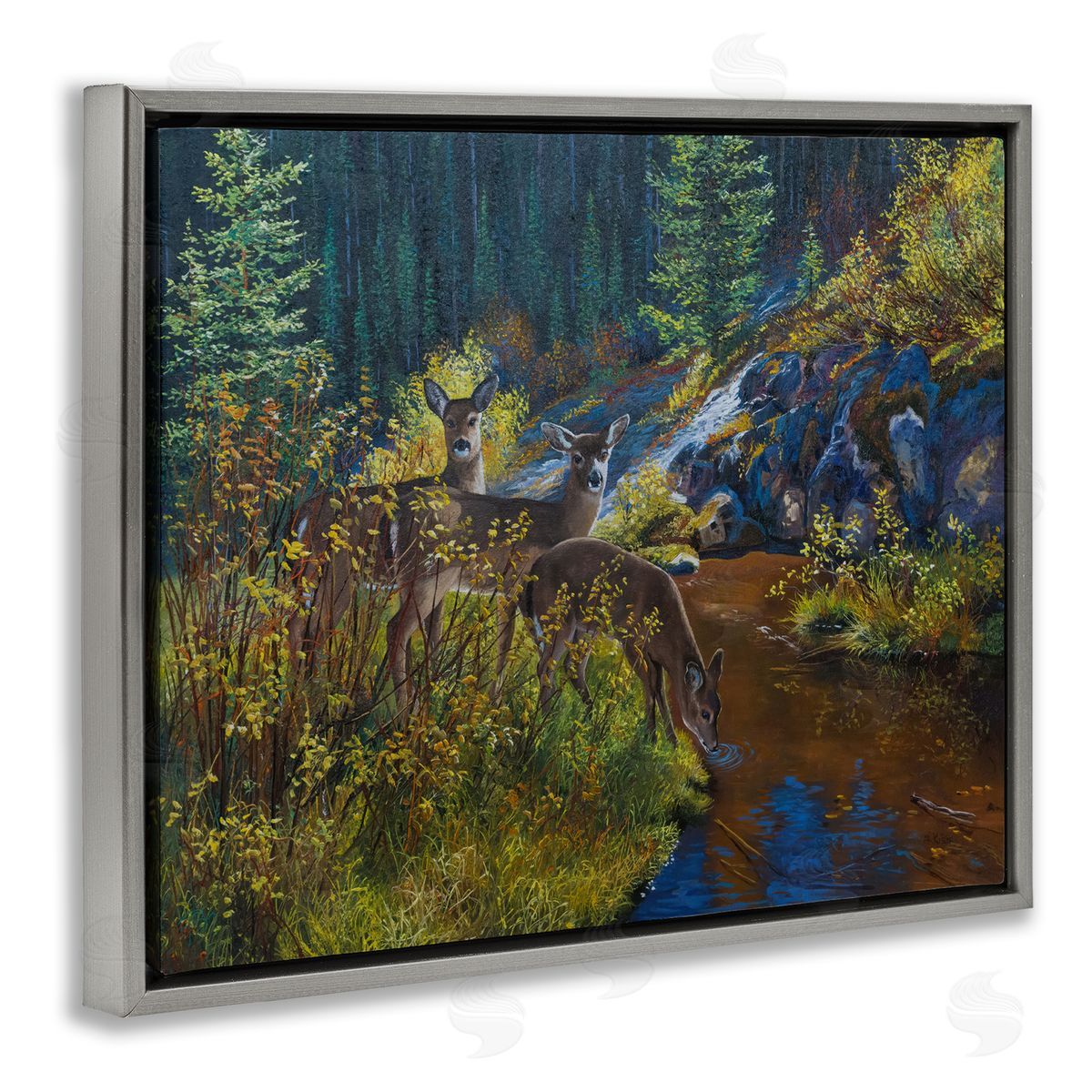 Andrew Kiss Deer Drinking from River Gray Floating Frame Canvas Wall Art Print