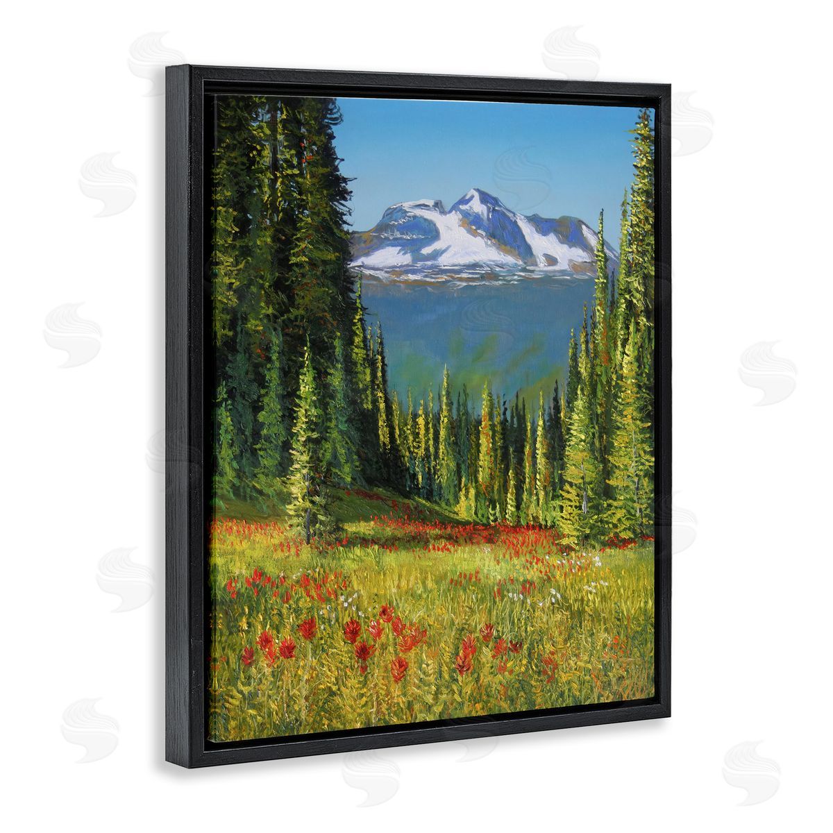 Andrew Kiss Alpine Valley Meadow Black Floating Frame Canvas Wall Art Print