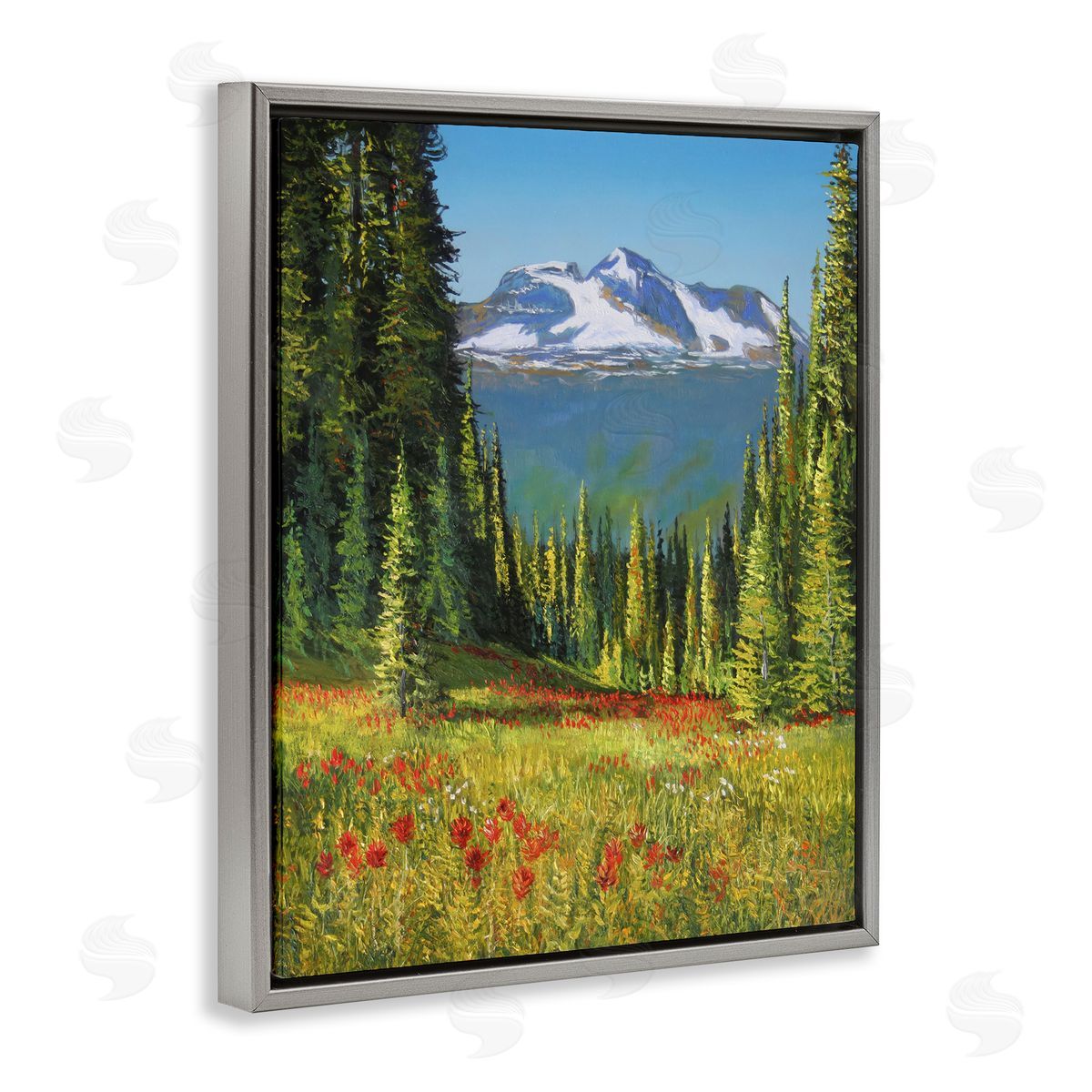 Andrew Kiss Alpine Valley Meadow Gray Floating Frame Canvas Wall Art Print