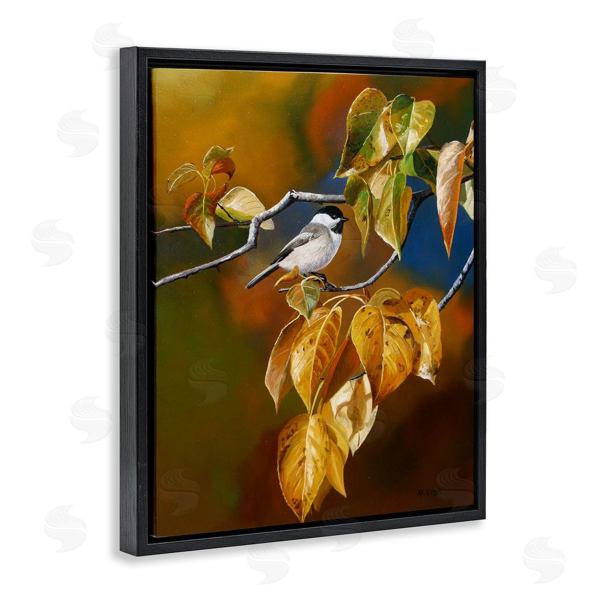 Andrew Kiss Chickadee on Branch Black Floating Frame Canvas Wall Art Print