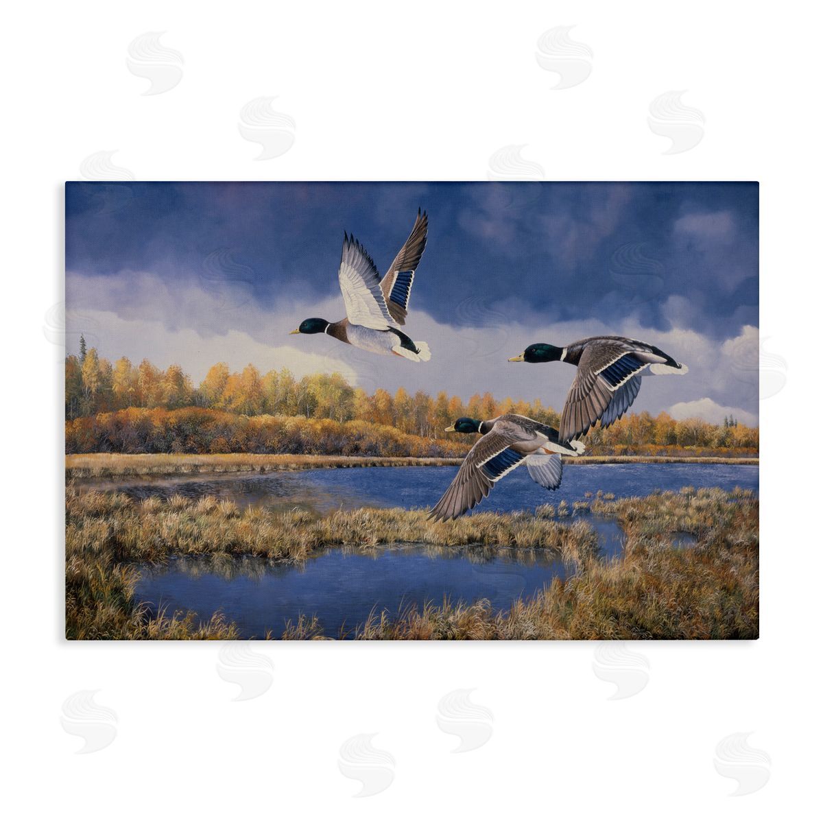 Andrew Kiss Ducks Heading South Canvas Wall Art Print