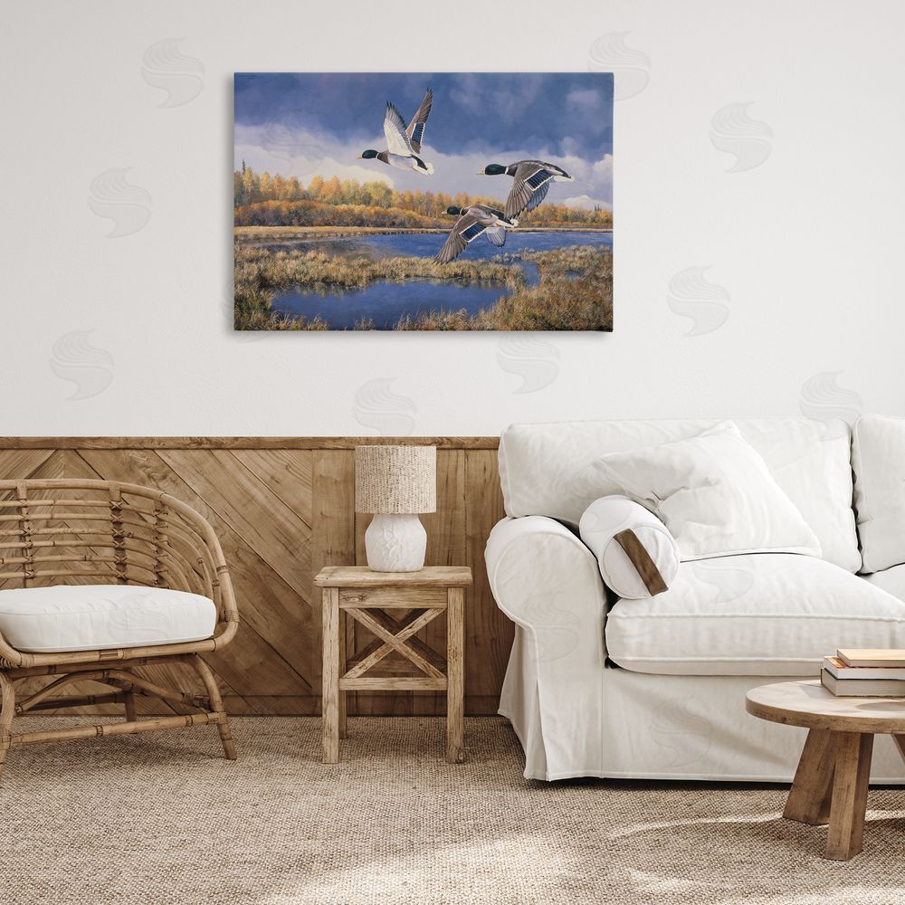Andrew Kiss Ducks Heading South Canvas Wall Art Print in Room