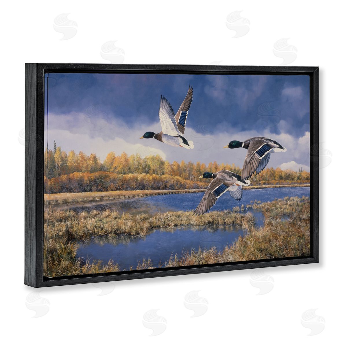 Andrew Kiss Ducks Heading South Black Floating Frame Canvas Wall Art Print