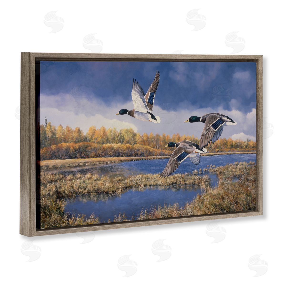 Andrew Kiss Ducks Heading South Brown Floating Frame Canvas Wall Art Print