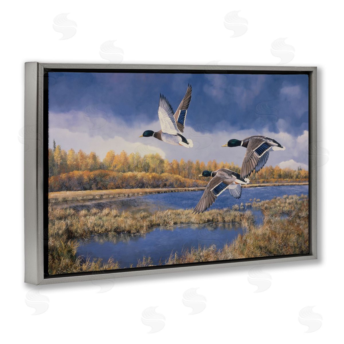 Andrew Kiss Ducks Heading South Gray Floating Frame Canvas Wall Art Print
