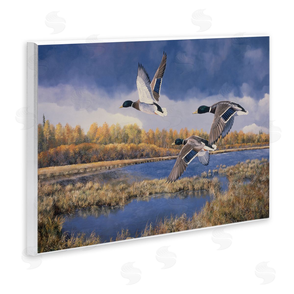 Andrew Kiss Ducks Heading South Wooden Wall Plaque Art Print