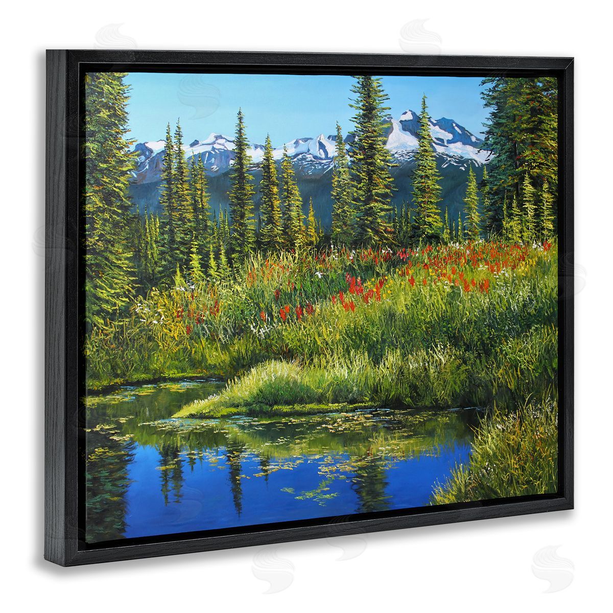 Andrew Kiss High Country Summer Black Floating Frame Canvas Wall Art Print