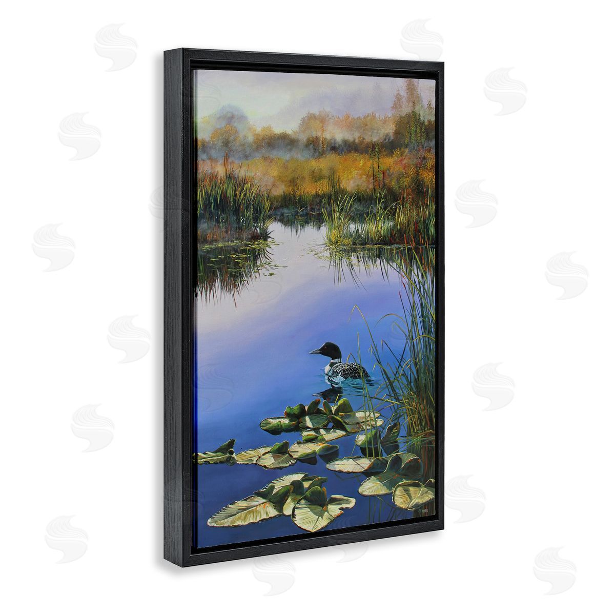 Andrew Kiss Duck's Morning Solitude Black Floating Frame Canvas Wall Art Print