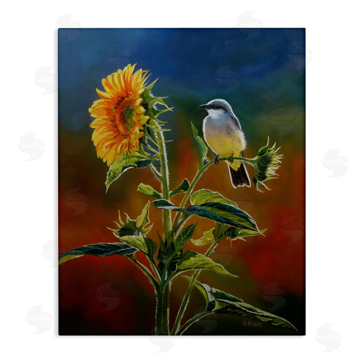 Andrew Kiss Western Kingbird & Flower Canvas Wall Art Print