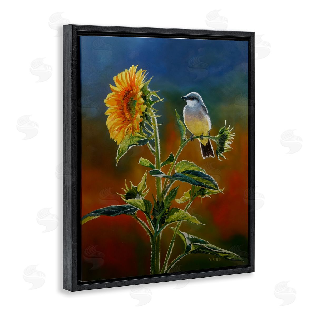 Andrew Kiss Western Kingbird & Flower Black Floating Frame Canvas Wall Art Print